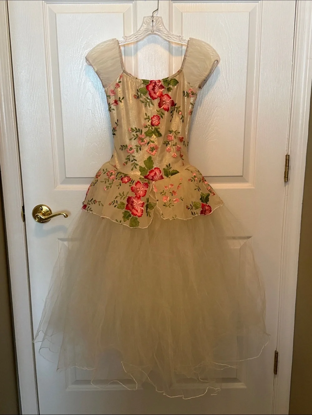 Floral Tulle Princess Dance Costume in Cream and Pink